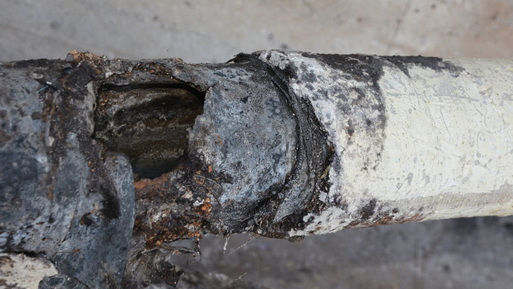 A damaged sewer line—like this one, damaged by tree roots—is a major threat to your home and property.